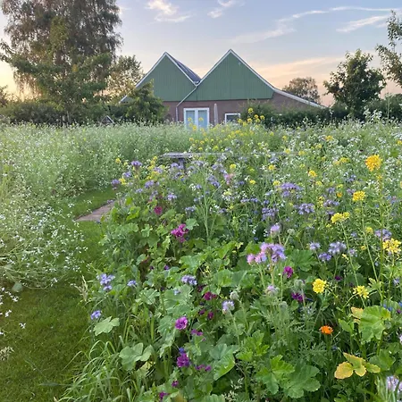 Vakantiewoning Op De Woerd Feriehus *